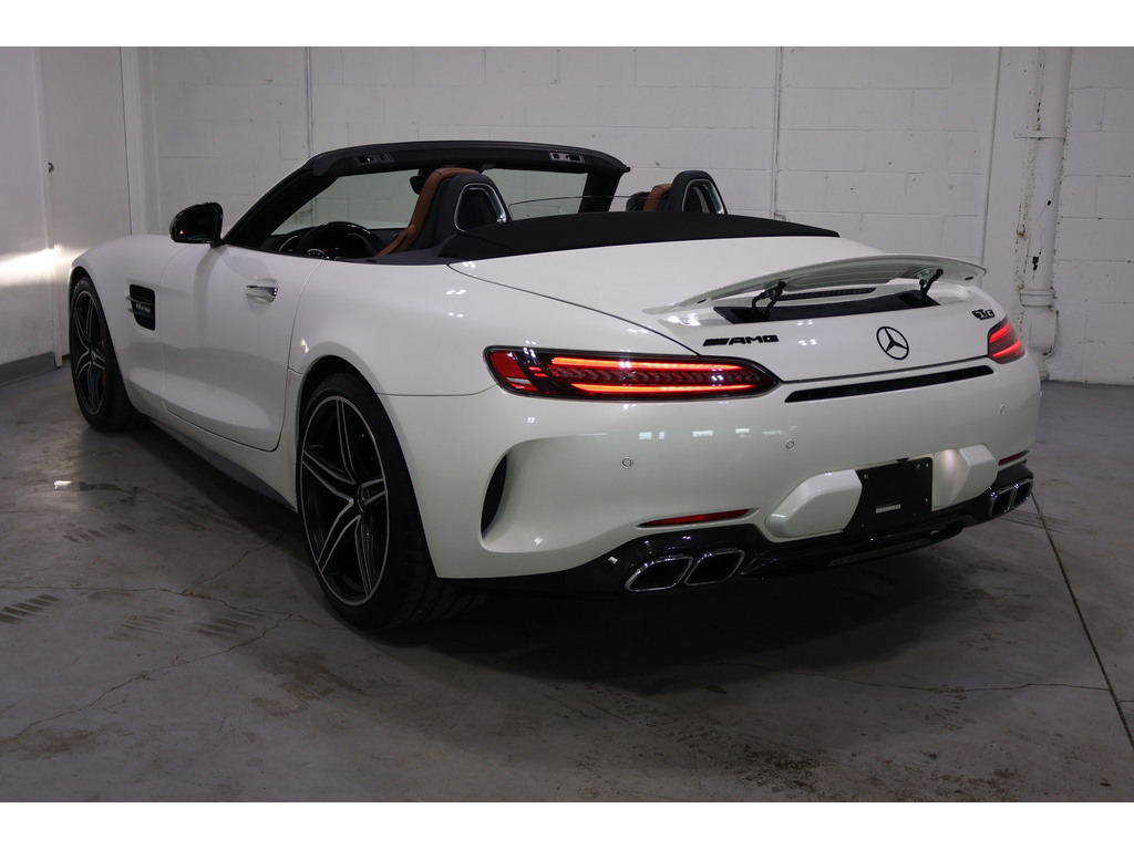 2020 Mercedes-Benz AMG GT C AMG GTC ROADSTER   CLEAN CARFAX   CARBON FIBRE TRI, Toronto, Cash