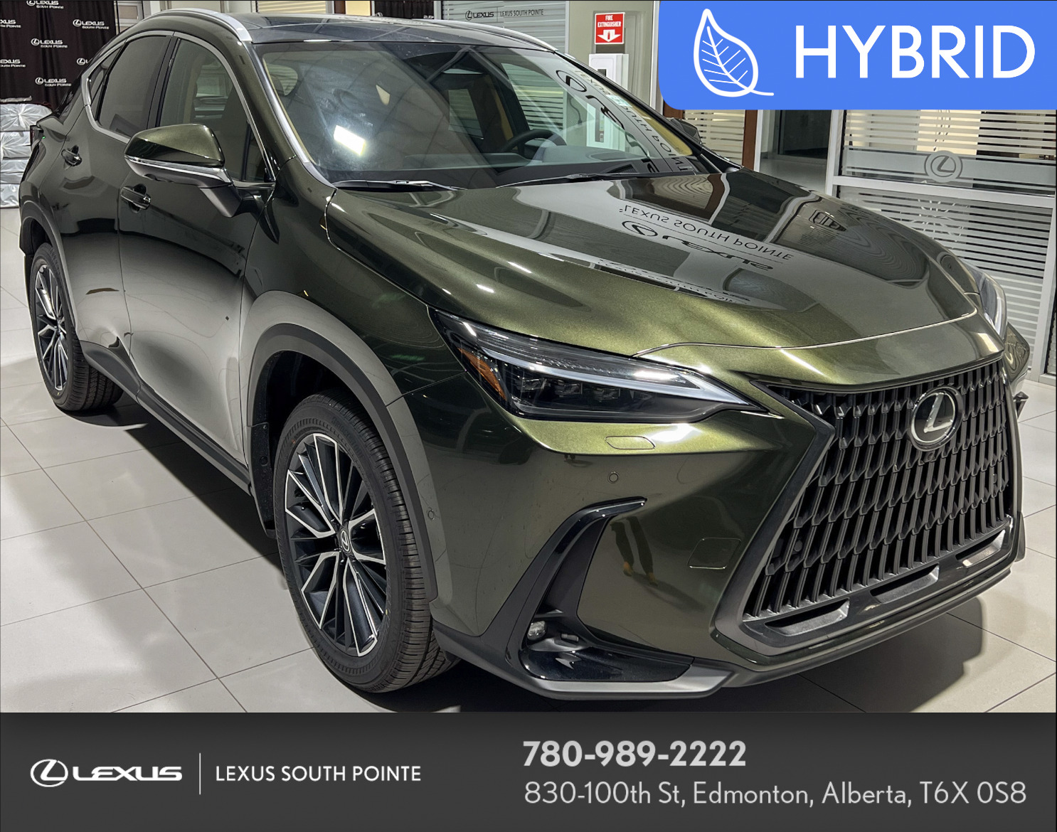 2025-lexus-nx-350h-executive-hybrid-awd-66880229-edmonton-ab-new