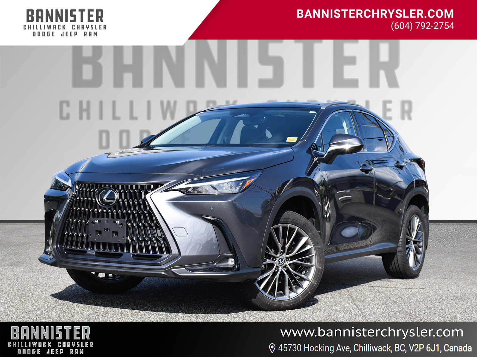 2023 Lexus NX 350h LUXURY | AMBIENT LIGHTING | PANO SUNROOF |