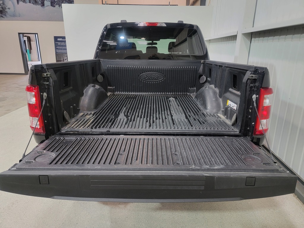 Ford F-150 2023