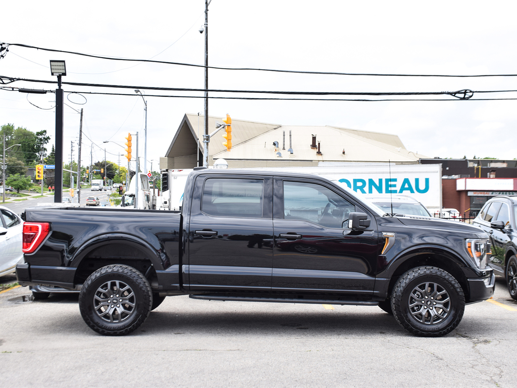 2023 Ford F-150 Tremor, Toronto, Cash