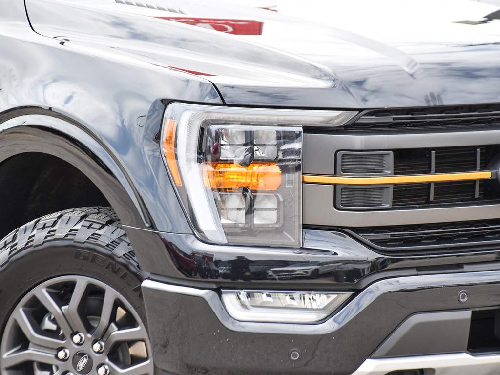 2023 Ford F-150 Tremor, Toronto, Cash