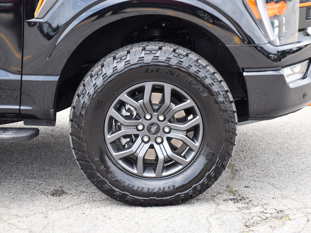 2023 Ford F-150 Tremor, Toronto, Cash