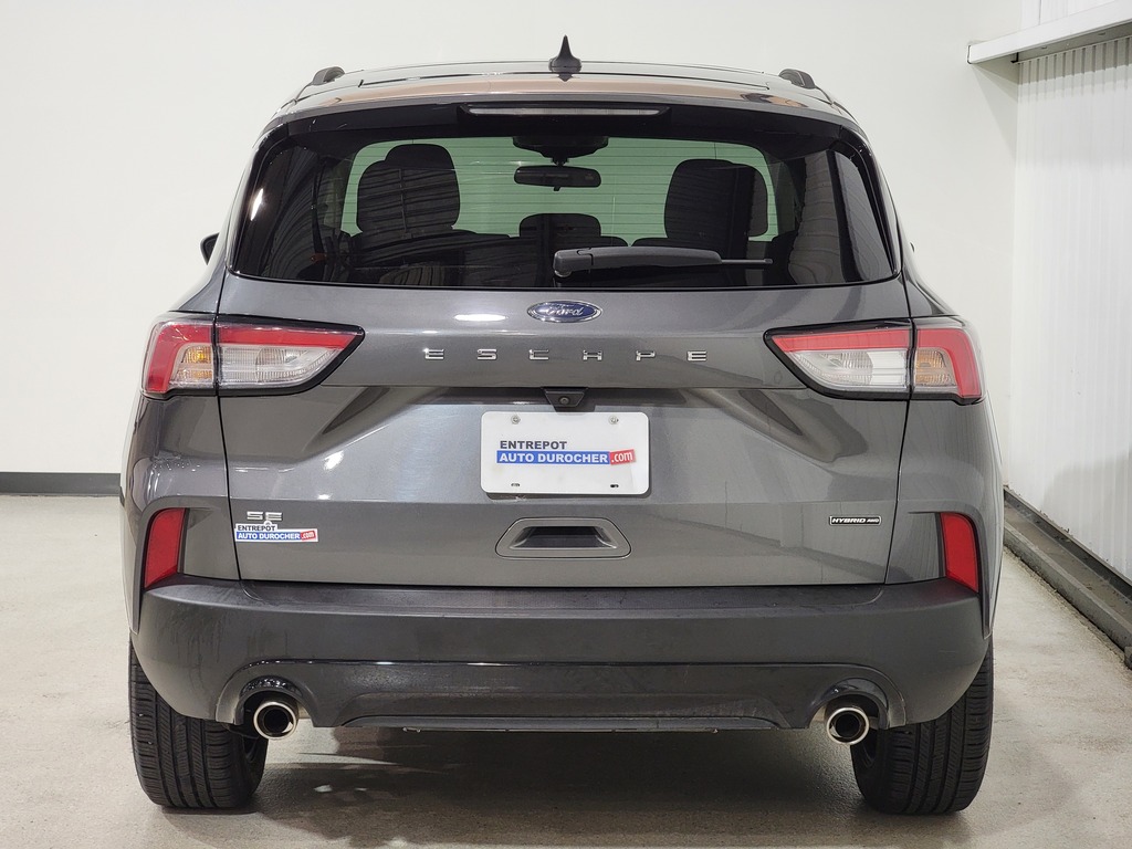 Ford Escape 2021