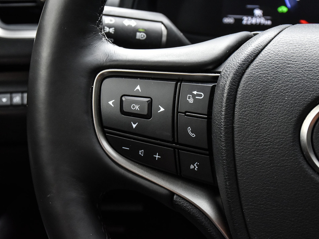2025 Lexus UX 300h 300h, Toronto, Cash
