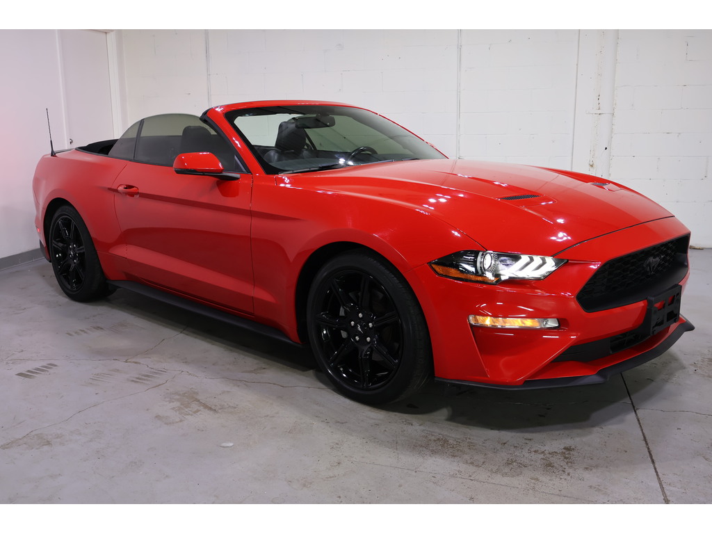 2019 Ford Mustang EcoBoost Premium, Toronto, Cash