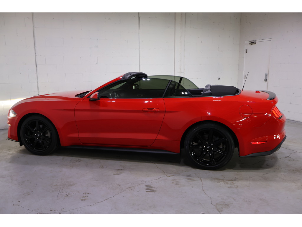 2019 Ford Mustang EcoBoost Premium, Toronto, Cash