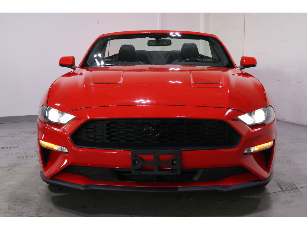 2019 Ford Mustang EcoBoost Premium, Toronto, Cash