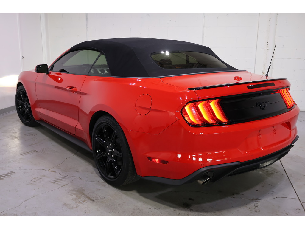 2019 Ford Mustang EcoBoost Premium, Toronto, Cash