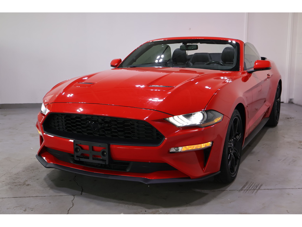 2019 Ford Mustang EcoBoost Premium, Toronto, Cash