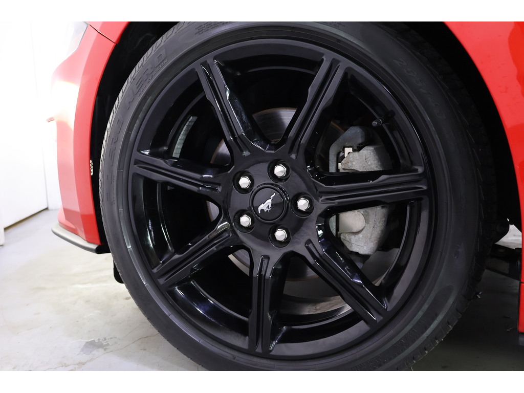 2019 Ford Mustang EcoBoost Premium, Toronto, Cash