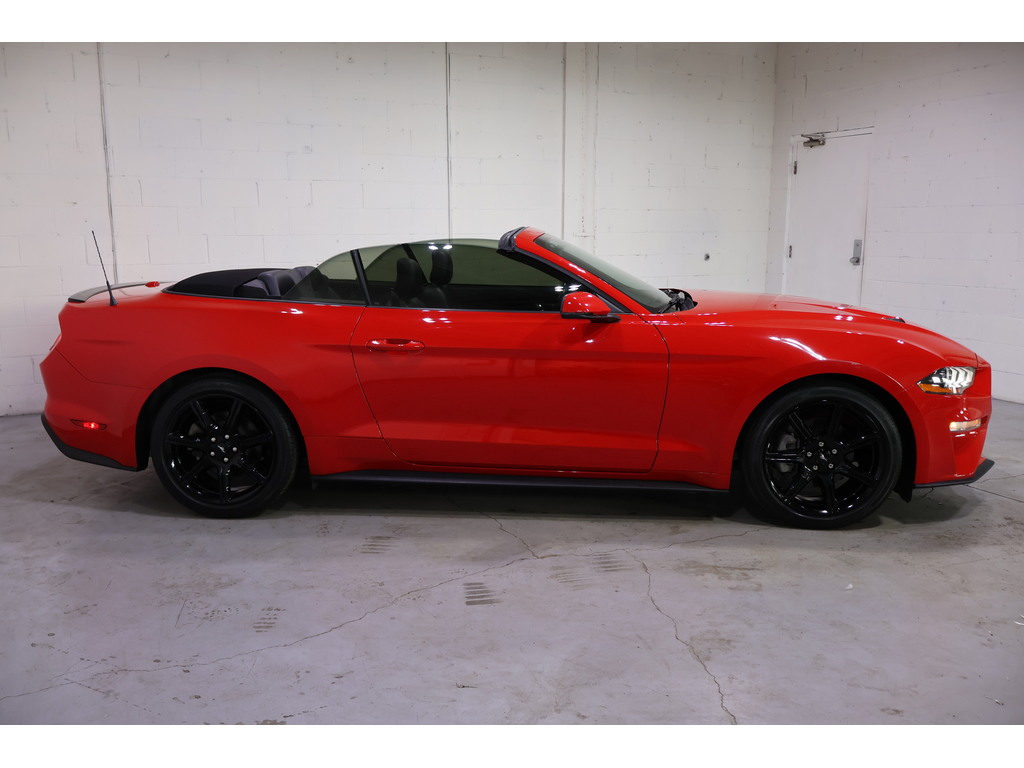 2019 Ford Mustang EcoBoost Premium, Toronto, Cash