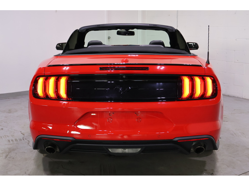 2019 Ford Mustang EcoBoost Premium, Toronto, Cash
