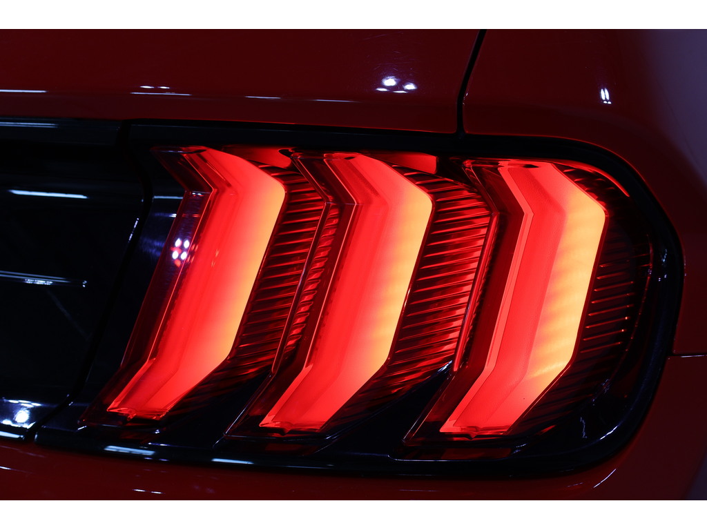 2019 Ford Mustang EcoBoost Premium, Toronto, Cash