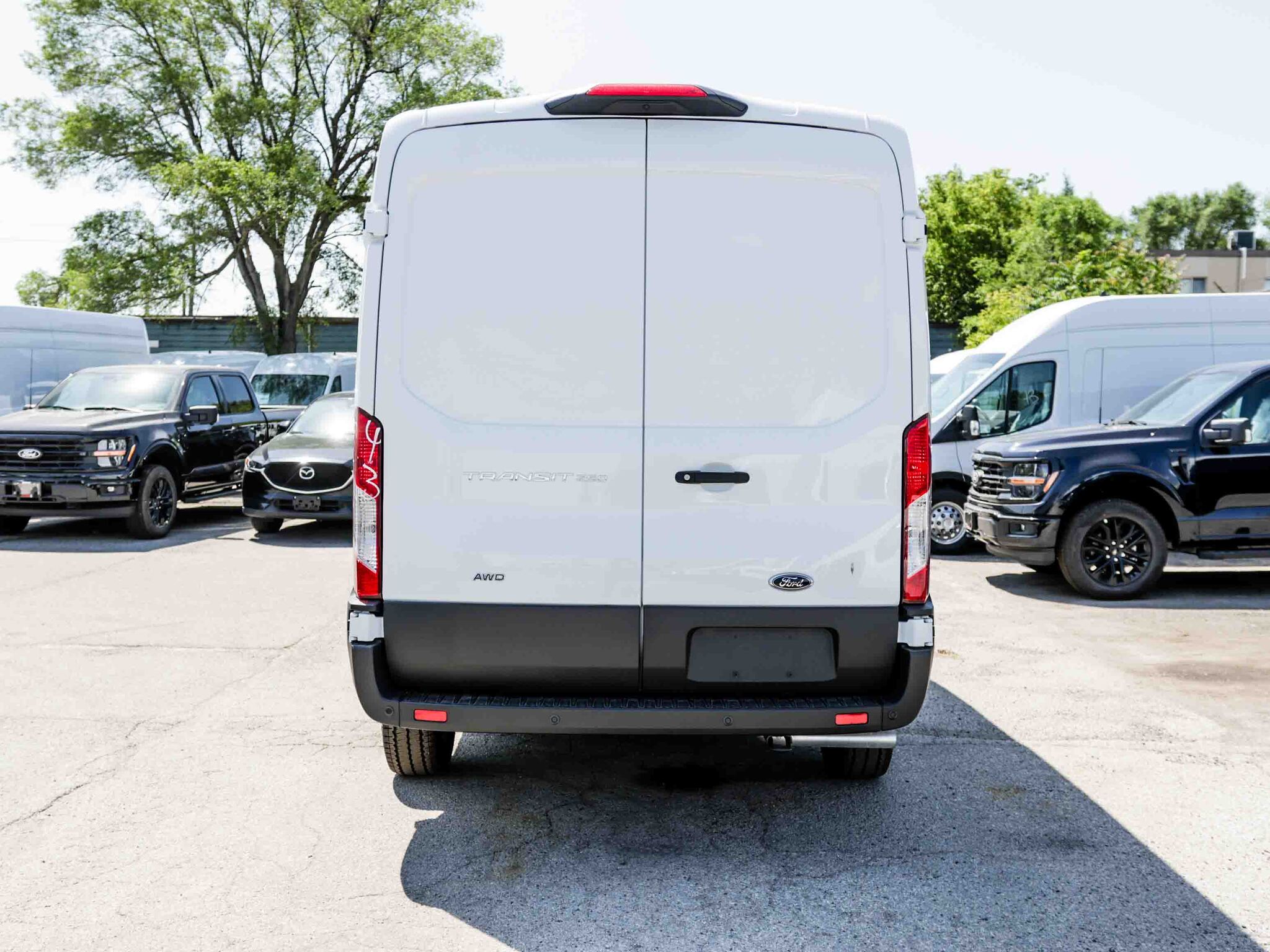 2025 Ford Transit Cargo Van