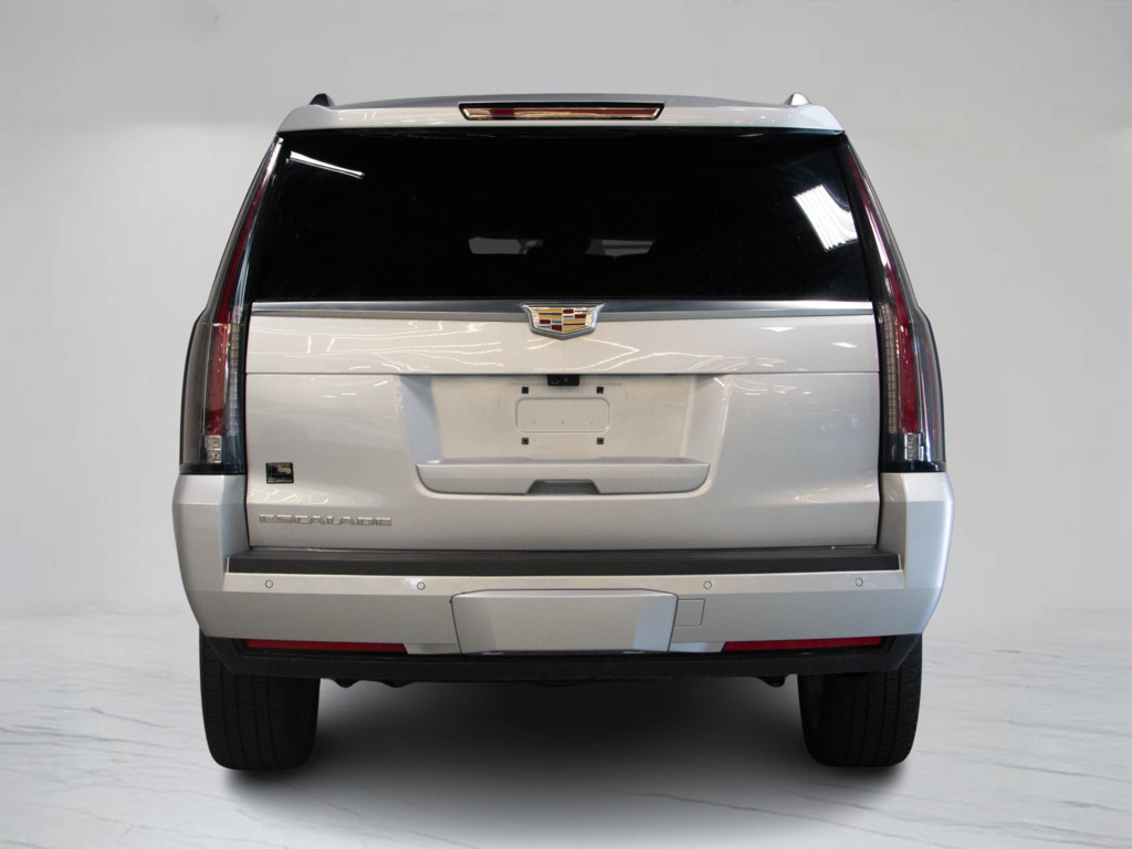 2019 Cadillac Escalade ESV Luxury, Toronto, Cash
