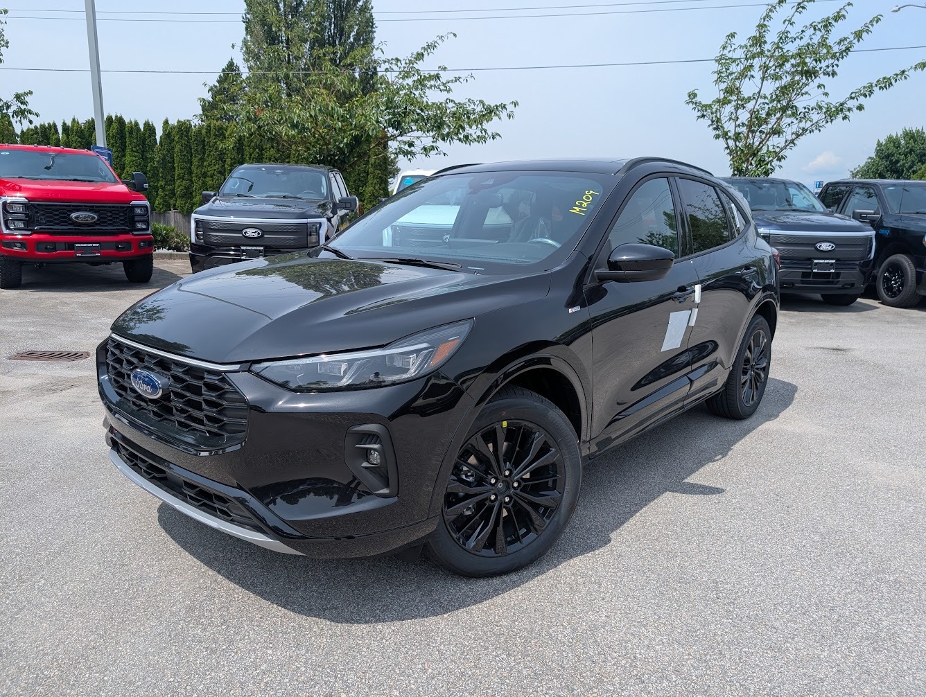 2025 Ford Escape ST-Line Elite AWD - Panoramic Roof, Cargo Mat
