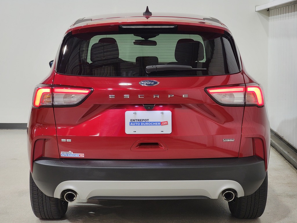 Ford Escape 2021