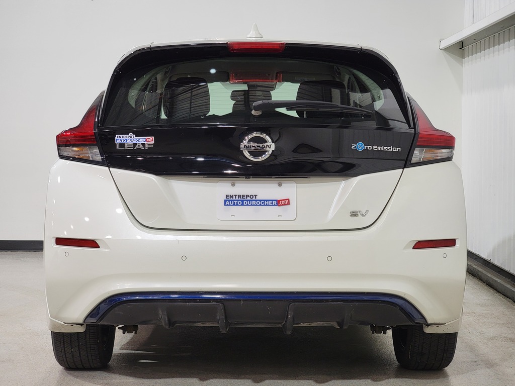 Nissan LEAF 2021 Nissan LEAF 2021