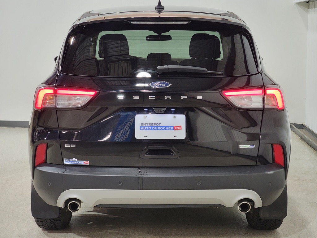 Ford Escape 2020