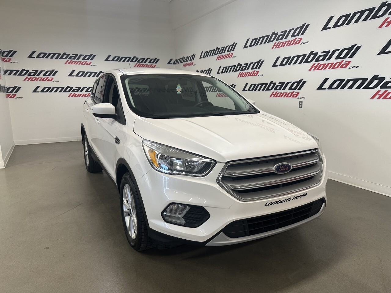 2019 Ford Escape SE 4WD