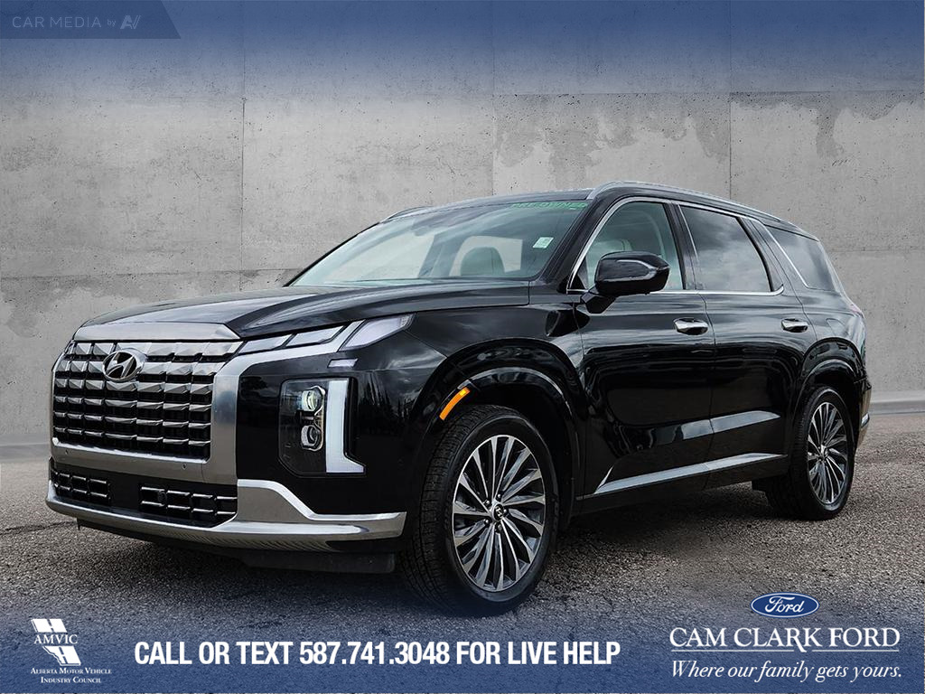 2025 Hyundai Palisade Ultimate Calligraphy REMOTE SMART PARKING ASSIST |