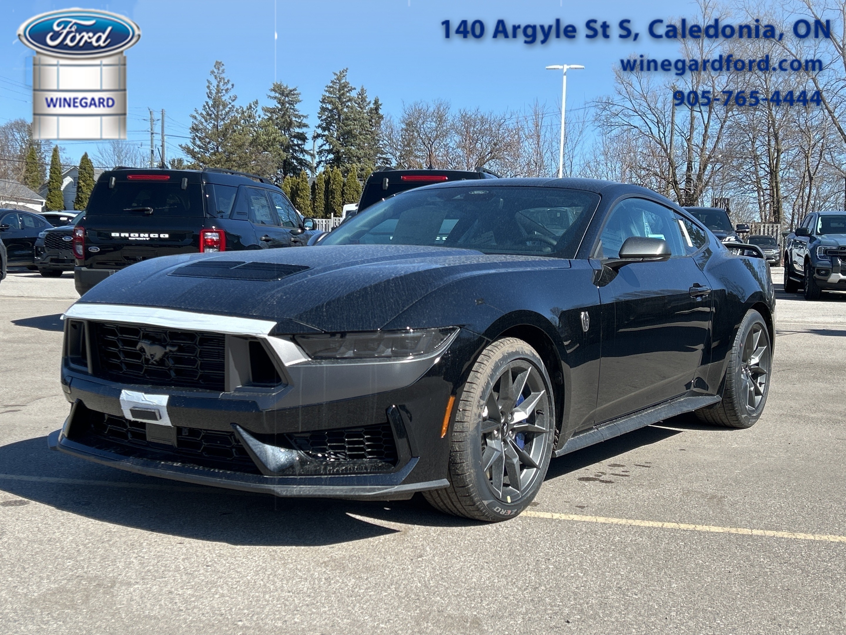 2025 Ford Mustang Dark Horse  - Recaro Seats