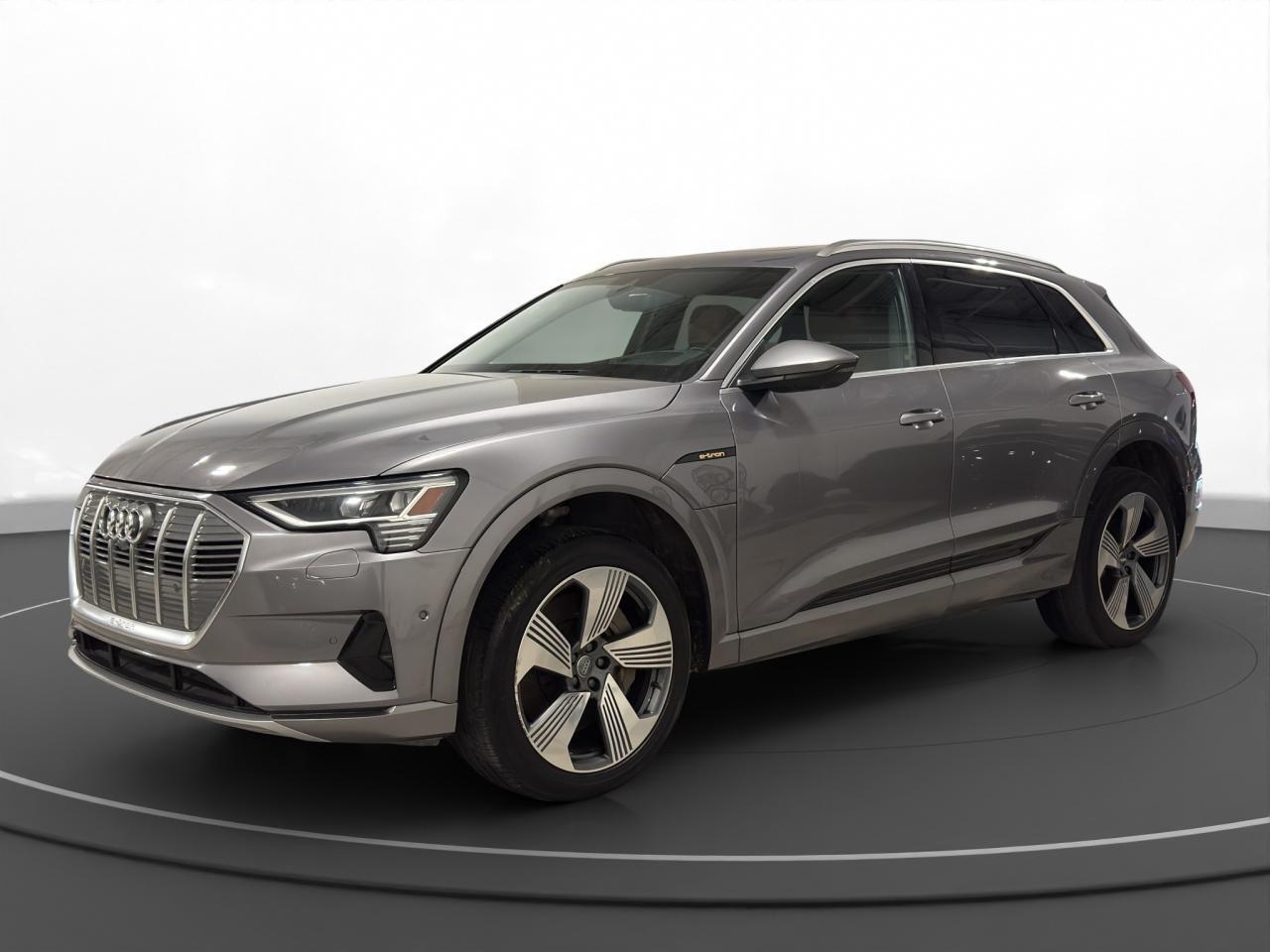 2019 Audi e-tron Technik quattro