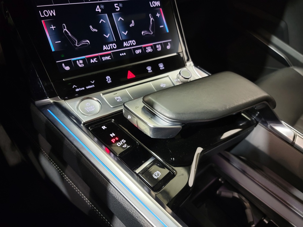 Audi e-tron 2019