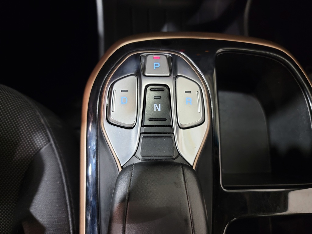 Hyundai Ioniq Electric 2019