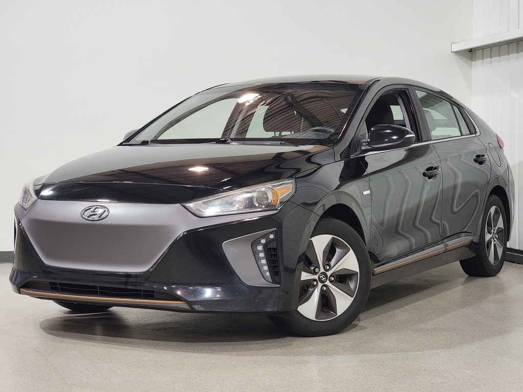 Hyundai Ioniq Electric 2019