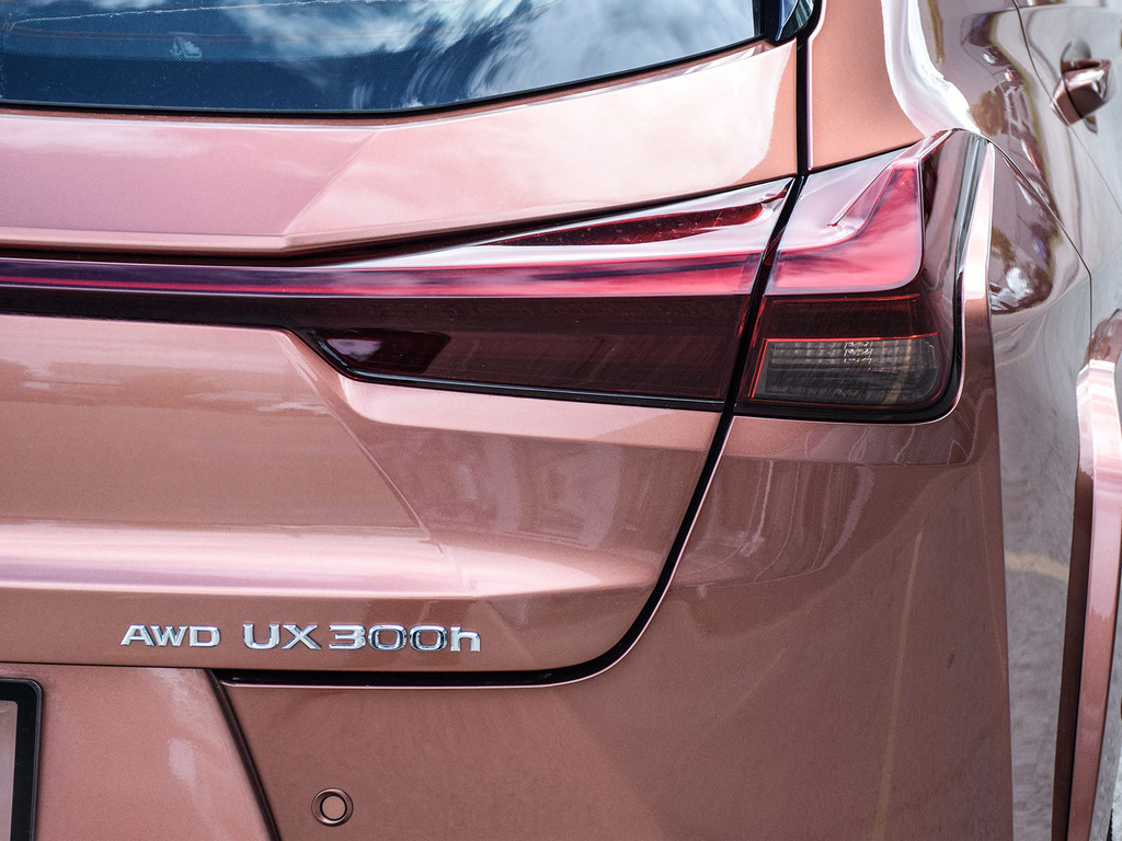 2025 Lexus UX 300h UX 300h, Toronto, Cash