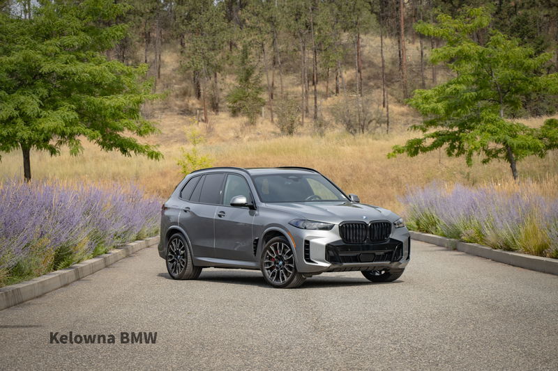 2025 BMW X5 X5 xDrive50e