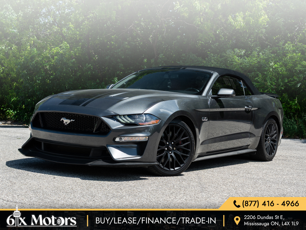 2019 Ford Mustang GT Premium / No Accident  / 