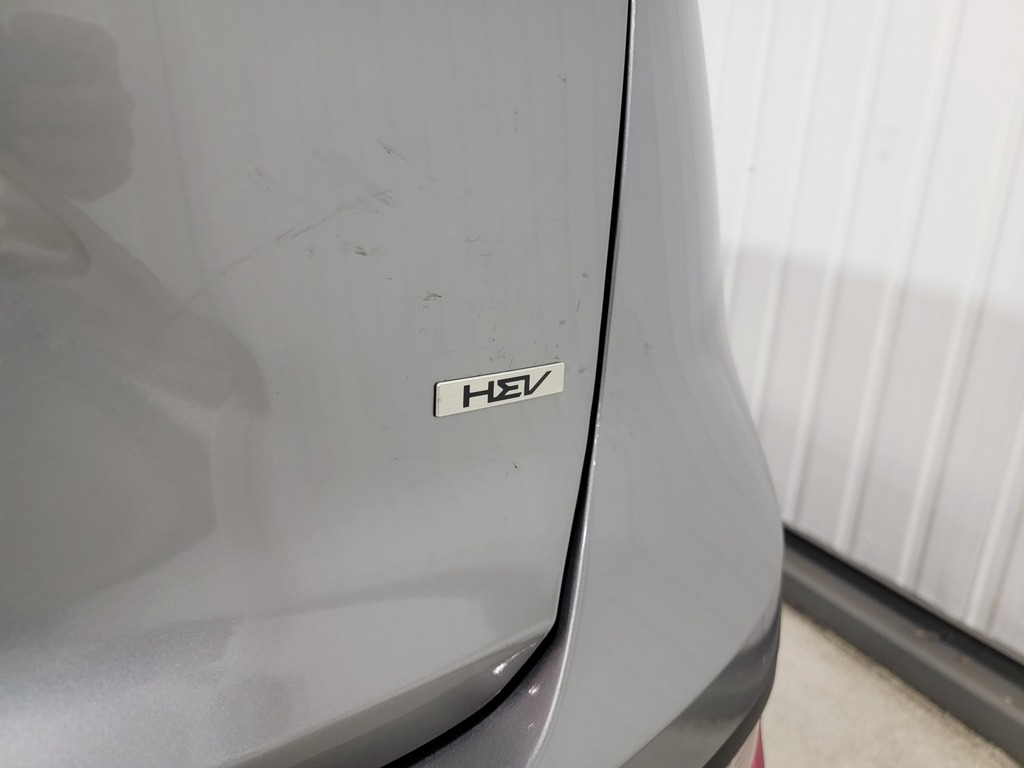 Kia Niro HEV 2024