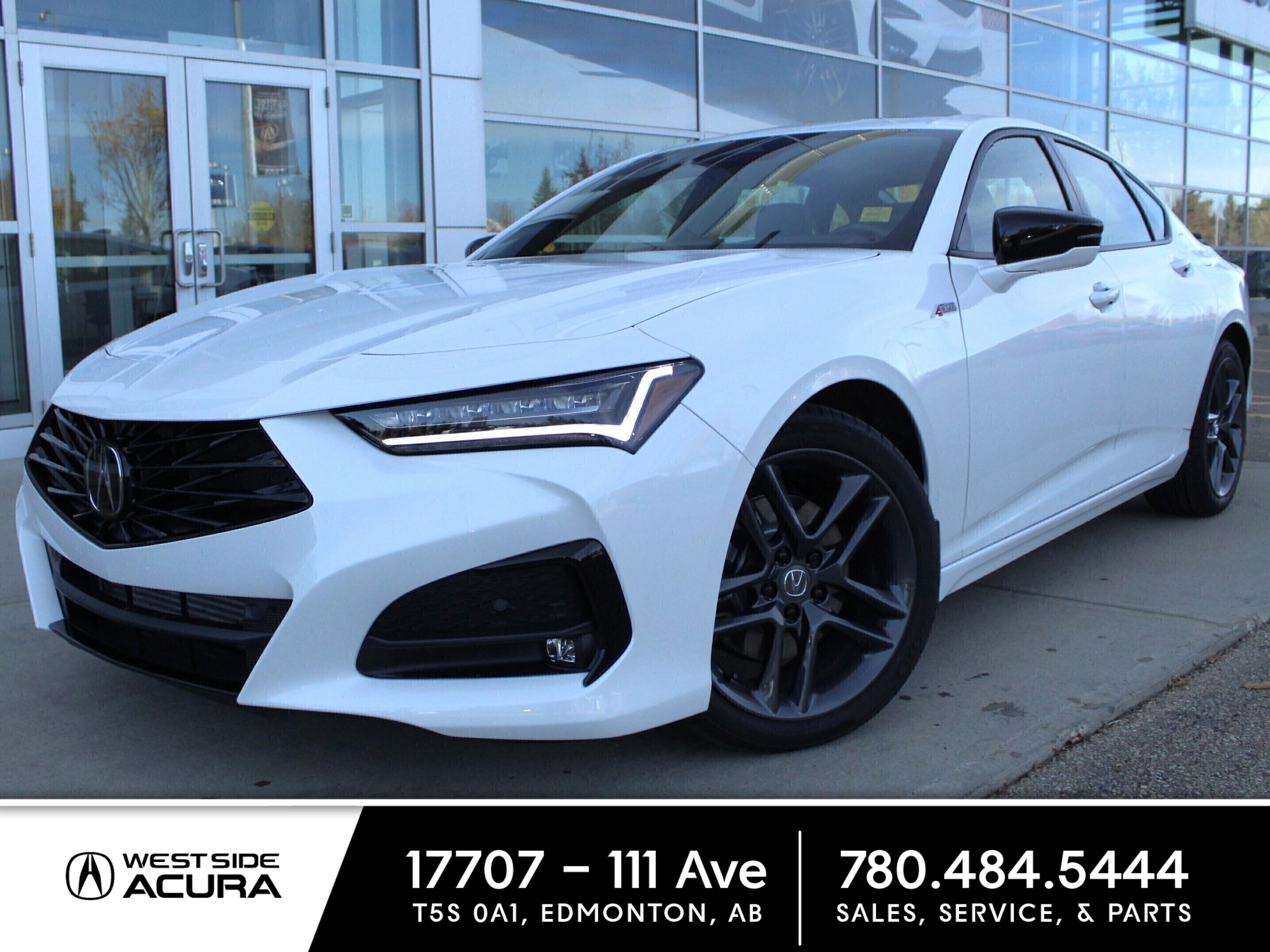 2024 Acura TLX A-Spec (ACTIVE SERVICE LOANER)