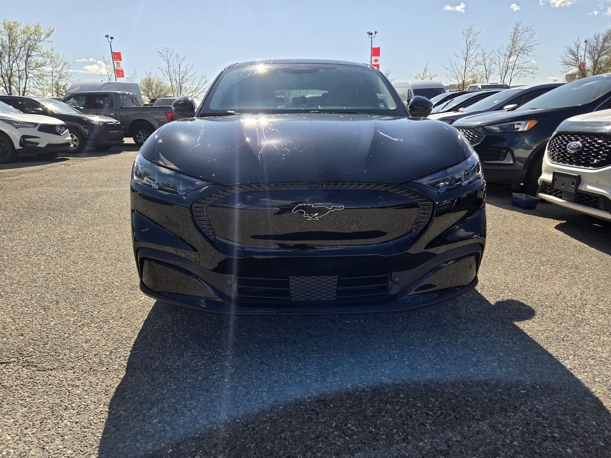 2024 Ford Mustang Mach-E