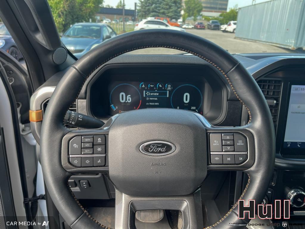 2023 Ford F-150 Tremor, Toronto, Cash