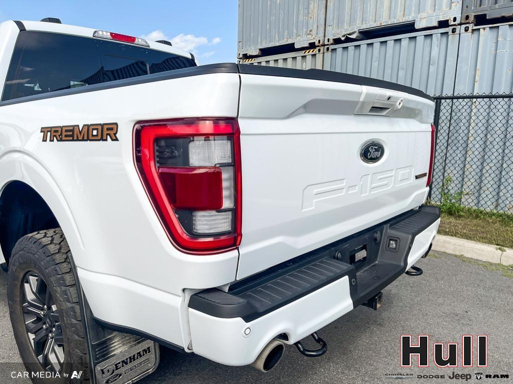 2023 Ford F-150 Tremor, Toronto, Cash