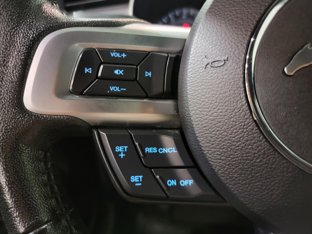 Ford Mustang 2019 Ford Mustang 2019