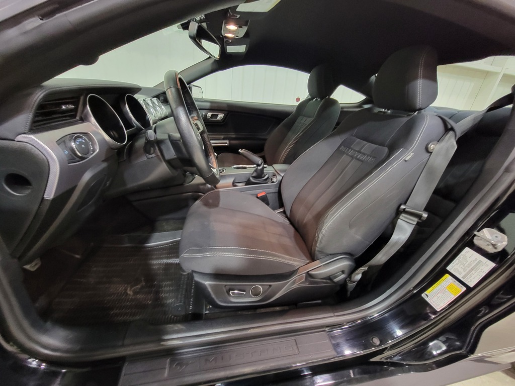 Ford Mustang 2019 Ford Mustang 2019