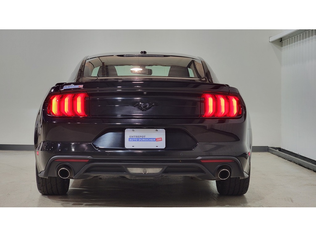 Ford Mustang 2019 Ford Mustang 2019