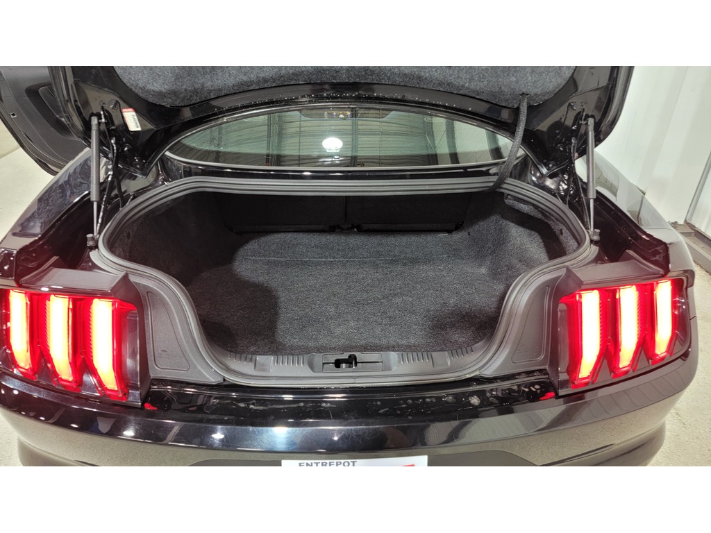 Ford Mustang 2019 Ford Mustang 2019