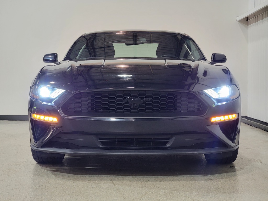 Ford Mustang 2019 Ford Mustang 2019