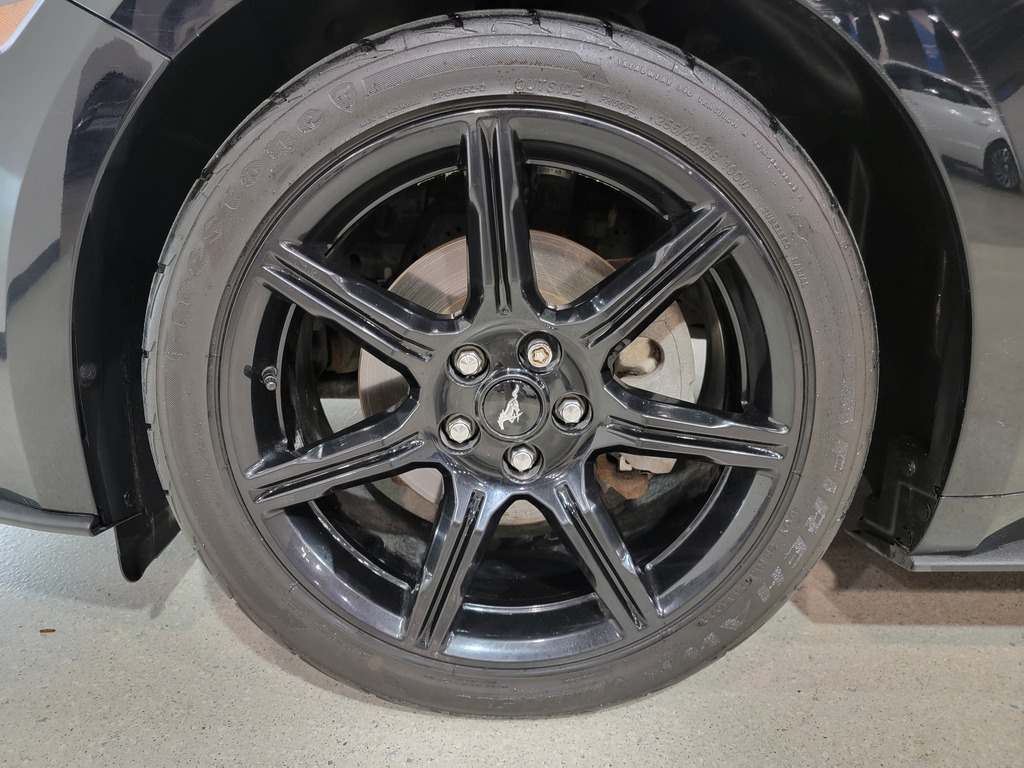 Ford Mustang 2019 Ford Mustang 2019