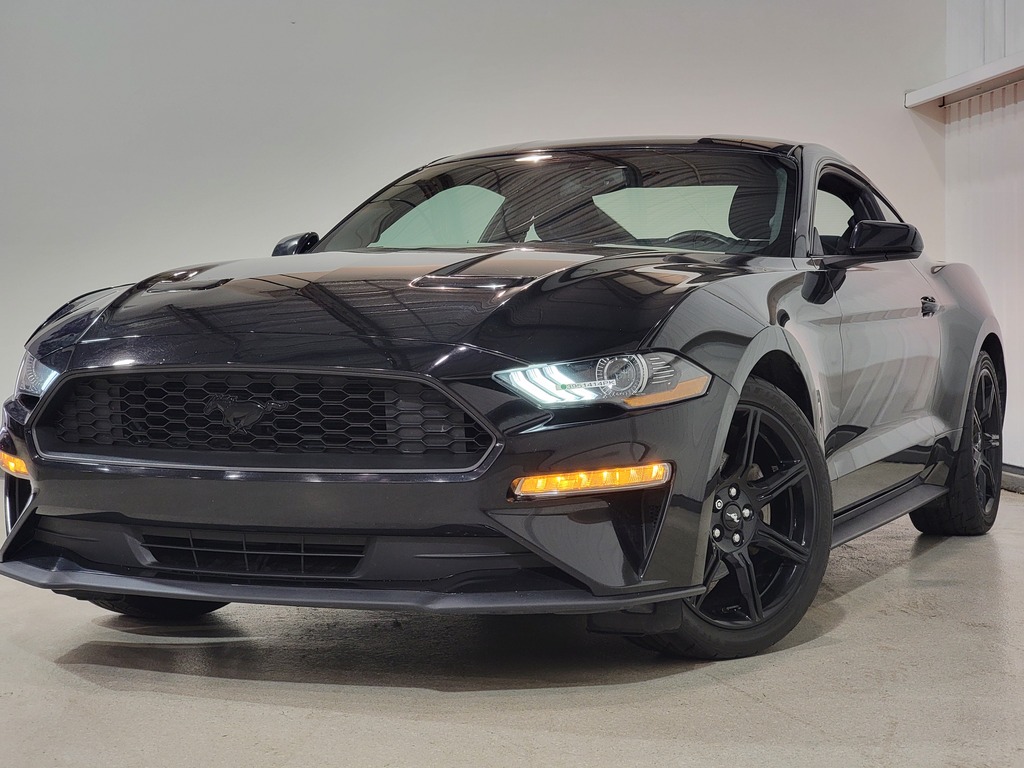Ford Mustang 2019 Ford Mustang 2019