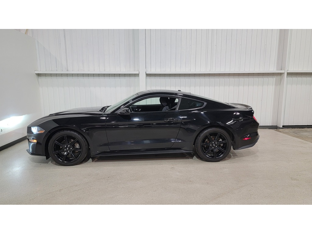 Ford Mustang 2019 Ford Mustang 2019