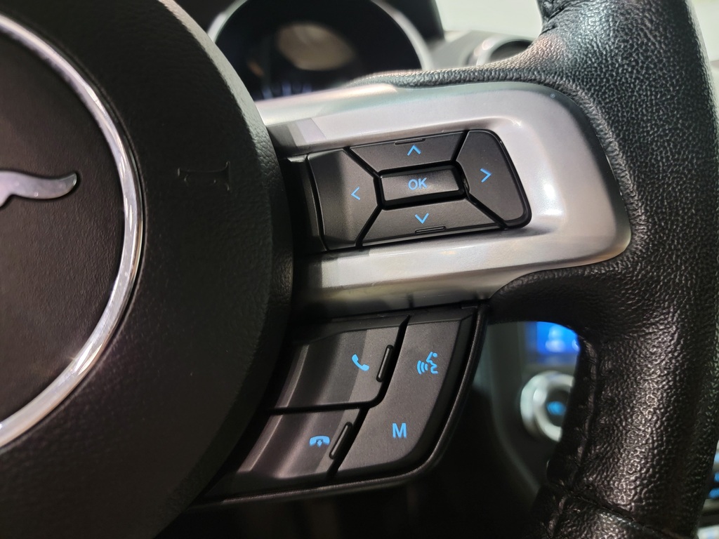 Ford Mustang 2019 Ford Mustang 2019