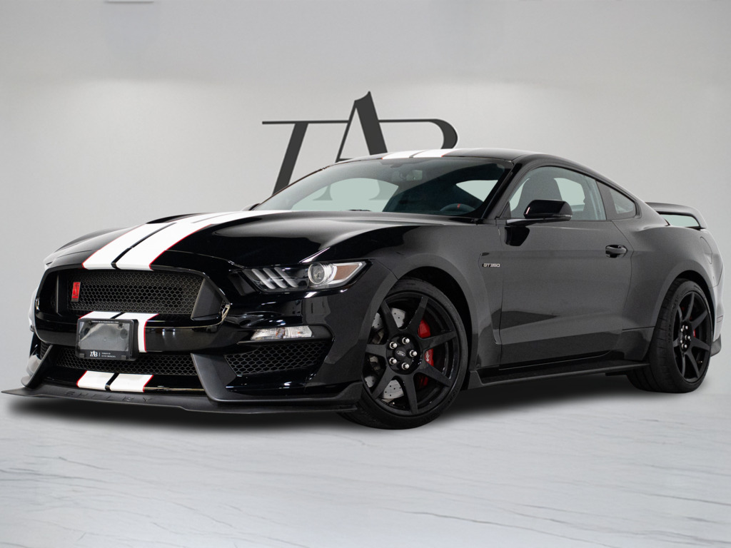 2017 Ford Shelby GT350 SHELBY   GT350R   MANUAL   BREMBO, Toronto, Cash