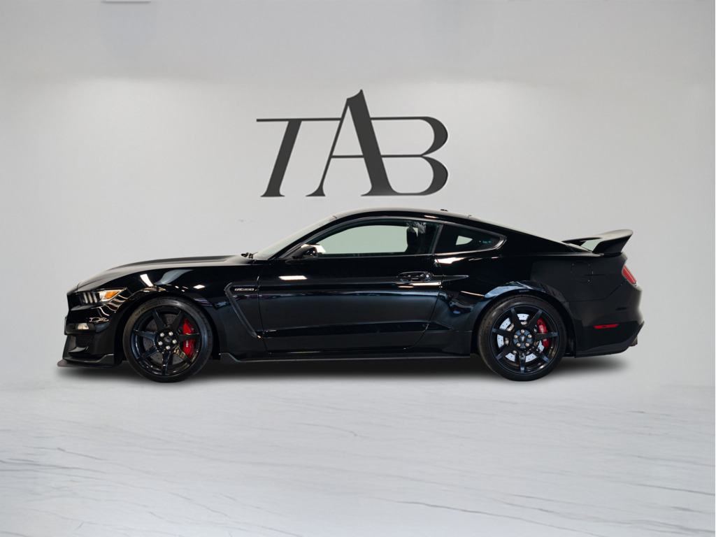 2017 Ford Shelby GT350 SHELBY   GT350R   MANUAL   BREMBO, Toronto, Cash